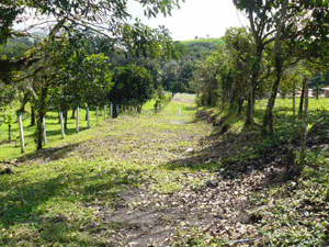 An access from lake highway is ready for completion.